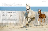 Door: Kris van Loo Nieuw Leven - · PDF file Een nieuwe lente, een nieuw veulen. en nieuwe fokkers. Z bestaat inmiddels een kwarteeuw en zit zelf nog maar in haar lente. Fokkers van