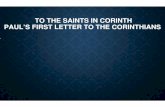 TO THE SAINTS IN CORINTH PAUL’S FIRST LETTER TO THE ... Corinthians.pdfThe Corinthians were the quintessential ... and same (auto) judgment (gnome from gnosko) - usually him, her