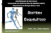 UNIVERSIDADE DE SÃO PAULO FACULDADE DE ......DIVISÃO DO ESQUELETO Esqueleto Axial: ossos da cabeça, pescoço e do tronco (coluna vertebral, costelas e esterno) Esqueleto Apendicular: