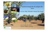 Control integrado de plagas del olivo · 2013. 10. 2. · IX Foro INIA “OLIVAR Y ACEITE DE OLIVA” 20 de junio de 2013 Centro IFAPA, Córdoba. EFICACIA Y EFECTOS SECUNDARIOS DE