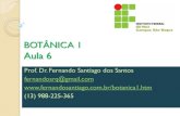 BOTÂNICA 1 Aula 1 - Fernando Santiago · Aula 6 Prof. Dr. Fernando Santiago dos Santos fernandosrq@gmail.com ... Marchantiophyta (cont.) ta. 10. Aprox. 9 mil espécies 11. Maioria