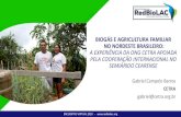 BIOGÁS E AGRICULTURA FAMILIAR NO NORDESTE BRASILEIRO: … · 2020. 11. 6. · Biodigestor Sertanejo e cooperação internacional •Desde 2008, o CETRA tem construído Biodigestores