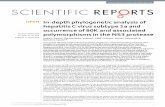 In-depth phylogenetic analysis of hepatitis C virus subtype 1a and … · 2018. 8. 15. · The NS3 A91S/T and S174N polymorphisms were strongly associated with 80K13. In our study,