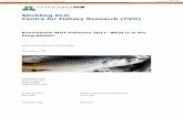 Stichting DLO Centre for Fishery Research (CVO) · 2015. 9. 22. · 2 van 58 Reportnumber 11.004 Kennisbasis WOT Fisheries 2011 Stichting DLO Centre for Fishery Research (CVO) P.O.
