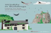 Linking our built and natural heritage...Design: Penhouse Design Translation to Irish by Simon Ó Faoláin. The content is drawn from a range of guidance materials relating to the