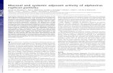 Mucosal and systemic adjuvant activity of alphavirus replicon particles · Mucosal and systemic adjuvant activity of alphavirus replicon particles Joseph M. Thompson*†, Alan C.