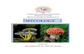 4th Medical Analysis Mycology / Dr Hero - Lecture Notes...used in herbal medicine. The wood rotting fungus Ganoderma lucidum is cultivated even today for its reputed medical benefits.