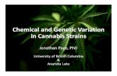Chemical and Genetic Variation in Cannabis Strains...EVIDENCE OF STRAIN‐SPECIFIC EFFECTS IN HUMANS Therapeutic Satisfaction and Subjective Effects of Different Strains of Pharmaceutical‐Grade