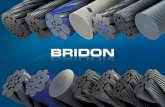 To be the world leading specialist - Subsea UK · 2015. 3. 31. · 1974 Registration of Bridon Brand 1978 Bridon Plc listed on LSE 1997 Bridon purchased by FKI 2006 Acquisition of
