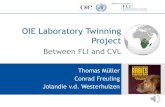 OIE Laboratory Twinning Project · 2020. 9. 1. · OIE Laboratory Twinning Project Workplan 1st year (2019) 2nd year (2020) 3rd year (2021) The diagnostic capacities and capabilities