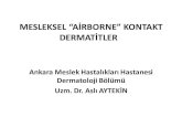 MESLEKSEL “AİRBORNE” KONTAKT DERMATİTLER · 2015. 12. 3. · Tablo-2."Airborne" kontakt dermatitde klinik şiddet skorlaması (adapted from Verma et al.)A. Kaşıntı Klinik