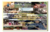 Diversidad cultural y étnica en la Región y Situación de ......estrategia DOTS con todos sus componentes y algunas adaptaciones ..... 33 Venezuela: Estrategia basada en agentes