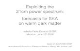 Exploiting the 21cm power spectrum: forecasts for SKA on warm … · 2017. 1. 3. · Exploiting the 21cm power spectrum: forecasts for SKA on warm dark matter Isabella Paola Carucci