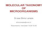 MOLECULAR TAXONOMY OF MICROORGANISMS · 2015. 1. 20. · MOLECULAR TAXONOMY OF MICROORGANISMS. Dr.ssa Silvia Lampis. silvia.lampis@univr.it. Ricevimento: mercoledi 14.00-15.00. Main