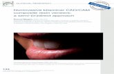 Noninvasive bilaminar CAD/CAM composite resin veneers: a ...Correspondence to: Pascal Magne, DMD, MS, PhD The Don and Sybil Harrington Professor of Esthetic Dentistry, Herman Ostrow