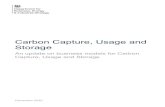 Carbon Capture, Usage and Storage - GOV.UK...Section 1: Introduction Introduction Carbon Capture, Usage and Storage (CCUS) will be critical in helping the UK meet net zero. ... This
