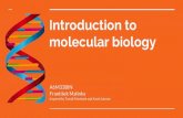 Introduction to molecular biology - cvut.cz · 2020. 2. 11. · molecular biology A6M33BIN František Malinka Inspired by Tomáš Martínek and Karel Jalovec. Overview Cell Nucleic