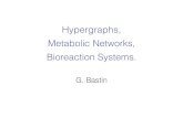 Hypergraphs, Metabolic Networks, Bioreaction Systems.trelat/GDT/confs/Georges...Computation of minimal sets of bioreactions 6. Final remarks Metabolic network inputs outputs intracellular