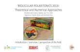 MOLECULAR POLARITONICS 2019: Theoretical and ...MOLECULAR POLARITONICS 2019: Theoretical and Numerical Approaches Miraflores de la Sierra, Madrid, July 7-11, 2019 Organizers:ClaudiuGenesandJohannes