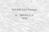 SOLDATJOLY François N° MATRICULE 2039 · 2014. 7. 2. · Les chasseurs du 28ème bataillon de chasseurs alpins Qui ont été tués ou blessés dans les combats livrés par le bataillon