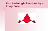 Patofyziologie krvetvorby a koagulace · 2010. 5. 10. · Patologie krve a krvetvorby ... vnitřní cesta-po kontaktu faktorů XII a XI s negativně nabitým povrchem kolagen v subendoteliální