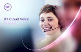 BT Cloud Voice...Applications BT Cloud Voice Communicator Screen share Proprietary 193.113.10.8 (uss01-ipcomms.bt.com) 193.113.11.8 (uss02-ipcomms.bt.com) TCP 8443