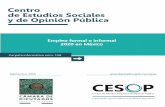 Cámara de Diputados - Empleo formal e informal 2020 en …...2 Carpeta informativa Empleo formal e informal 2020 en México Contenido Introducción 3 I. Cronología de la propagación