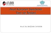 Akut Koroner Sendrom Tanı ve Tedavi - ATUDERfile.atuder.org.tr/_atuder.org/fileUpload/55f3gALONCIi.pdf · 2014. 4. 5. · Kardiyak belirteçler Troponinler CK, CK-MB ve miyoglobülinden