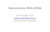 Neuroscience 201A (2016) · Resources • Texts – on reserve (Rutter Center library) – Fain G (2014) Molecular and Cellular Physiology of Neurons, 2nd ed., Harvard University