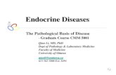 The Pathological Basis of Disease · 2012. 2. 23. · Endocrine Diseases Qiao Li, MD, PhD Dept of Pathology & Laboratory Medicine Faculty of Medicine University of Ottawa qiaoli@uottawa.ca