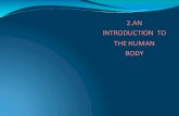 AN INTRODUCTION TO THE HUMAN BODY · 2021. 2. 15. · Anatomical Terminology. Body Cavities ... Diagnosis of anatomical and physiological disorders. Medical Imaging Radiography is