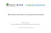 Maurizio Santoro on behalf of BIOMASAR and GEO-CARBON projects biomass teams · 2013. 4. 18. · -Santoro pan-boreal AGB (C-band ASAR) … currently extending - Other datasets in