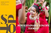 SOUTH PACIFIC TOURISM ORGANISATION€¦ · • The buzz word amongst donors/development partners/NGOs etc is SUSTAINABLE TOURISM. • They have all embraced and assisted in the implementation