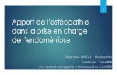 Apport de l’ostéopathie · 2020. 3. 8. · Endométriose et ostéopathie Mobilité viscérale Mobilité articulaire et ligamentaire Vascularisation de l’organe Équilibration