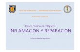 Casos Inflamacion y Reparacion - UdeCfmucien/Casos Inflamacion y Reparacion.pdf · 2019. 5. 3. · La ecotomografía abdominal muestra lesiones hepáticas múltiples ecolúcidas.
