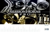 Session Horns Pro Manual English - e-instruments...SESSION HORNS PRO combines outstanding sound quality, an intuitive interface and innova tive functionality not only to provide you