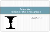 Pattern and object recognition · 2012. 2. 15. · Chapter 3 Perception: Pattern or object recognition . Perception Sensation vs. perception ... Perception due to pattern of neural