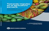 Tomando impulso en la agricultura peruanadocuments1.worldbank.org/curated/en/... · El futuro de la agricultura peruana debe preocupar a los encargados de formular políticas por