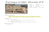 Yaringa Celtic Dream ET Celtic Dream ET.pdf · Microsoft Word - Yaringa Celtic Dream ET Author: Susan Haese Created Date: 3/25/2021 6:53:45 PM ...