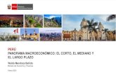 PER£‘ PANORAMA MACROECON£â€œMICO: EL CORTO, EL MEDIANO 2021. 2. 12.¢  -29,5-24,8 -25,9-20,9-17,6-11,1