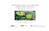 Mogumber and Narrogin Bell - Department of the Environment · drought, fragmentation of habitat, inappropriate fire regimes, weeds, trampling and small population size. The Narrogin