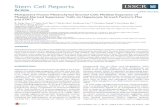 Stem Cell Reports - COnnecting REpositories · 2017. 2. 10. · Stem Cell Reports Article Multipotent Human Mesenchymal Stromal Cells Mediate Expansion of Myeloid-Derived Suppressor