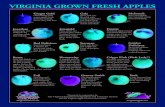 VIRGINIA GROWN FRESH APPLESVirginia Grown Apple Guide • Fresh apples are a delicious and nutritious snack. An average apple contains around 130 calories. • 2 pounds (lbs.) of apples