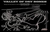 VALLEY OF DRY BONESVALLEY OF DRY BONES Proverbs 19:21 Many are the plans in the mind of a man, but it is the purpose of the Lord that will stand. VALLEY OF DRY BONES Psalm 130:7 O
