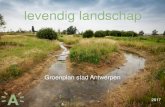 Groenplan stad Antwerpen - Intercommunale Leiedal · 2020. 1. 13. · 14 ‘A-typische’ landschappen vormen samen 5 ‘superparken’ 10 thema’s vormen een toolbox die in de landschappen