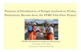 Patterns of Distribution of Pelagic Seafood on O'ahu ... · Patterns of Distribution of Pelagic Seafood on O'ahu: Preliminary Results from the PFRP Fish Flow Project PFRP Principal