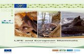 LIFE and European Mammals: Improving their conservation status€¦ · mammals, and some positive results have been achieved. LIFE is an excellent programme for demonstrating the