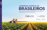 CENÁRIOS AGRÍCOLAS BRASILEIROS · 2021. 3. 30. · Os pontos no mapa correspondem aos municípios investigados na safra 2016 | 2017. soja milho safrinha Cana-de-açúcar milho Verão