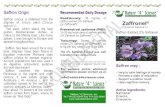 Saffron Brochure - Nature *4* Science · 2019. 9. 11. · Saffrol Saffr( - Help - prom - Supp Help Saffron Origin Saffron crocus is obtained from the stigmas of crocus plant (Crocus