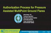 Authorization Process for Pressure Assisted MultiPoint ...content.4cmarketplace.com/presentations/InmanTCEQ.pdfMultiPoint Ground Flares Gas Lower Flammability Limit in Combustion Zone